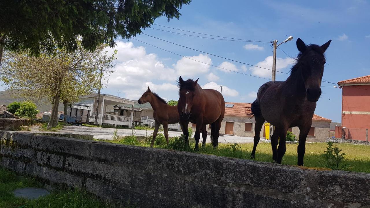 Casa Do Norte San Salvador 外观 照片